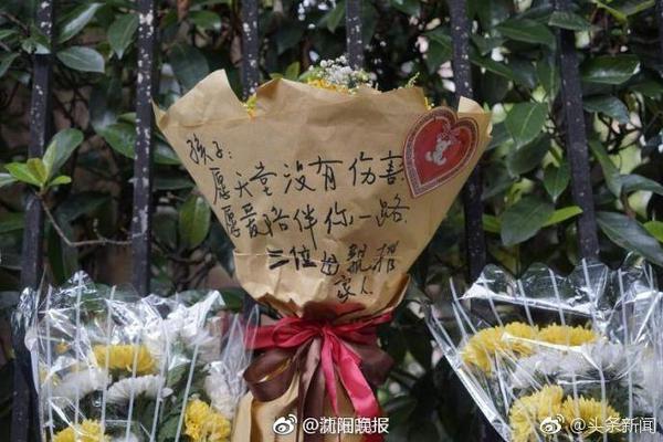 记者：米兰计划再次报价贾沙里和盖拉